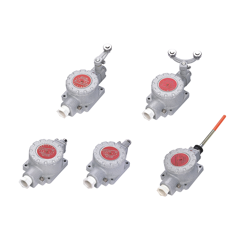 CBXK系列防爆行程開(kāi)關(guān)（IIB IIC tD）